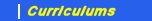 Curr�culums